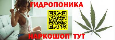 спиды Камышлов