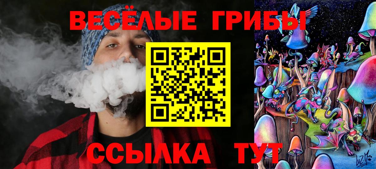 Кувандык  Галлюциногенные грибы Magic Shrooms  Вход с VPN 