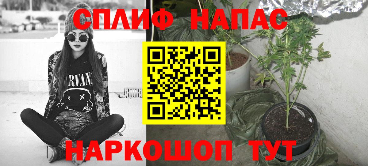 Бошки марихуана Amnesia  Вход с VPN  Конопля сатива  Шишки марихуана Amnesia  Кувандык 